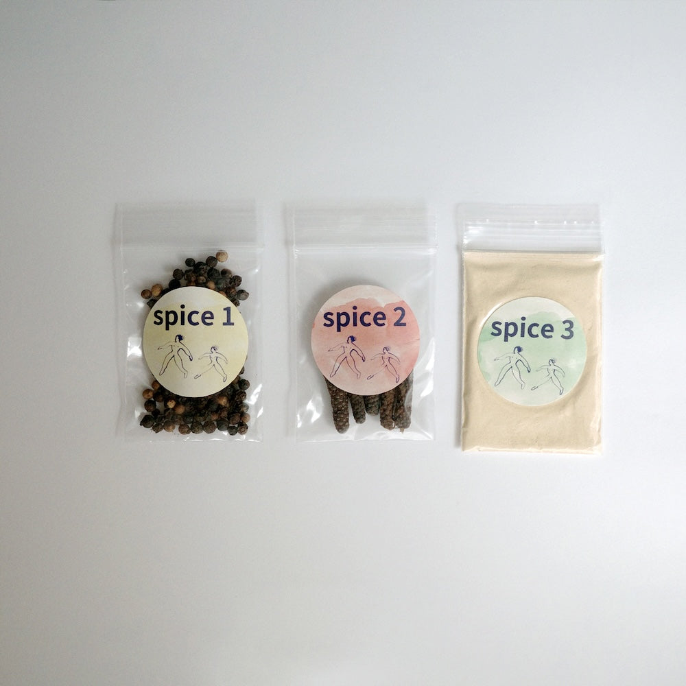 [動画付き] アーユルヴェーダ料理が作れる！スパイスキット